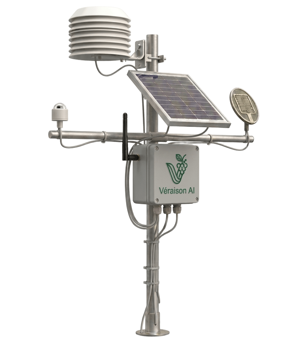 Véraison AI Véraison Sensor Node